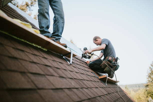 Fast & Reliable Emergency Roof Repairs in Alexandria, MN